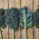 Image for article titled Meet the 'Joan of Arc of Kale'